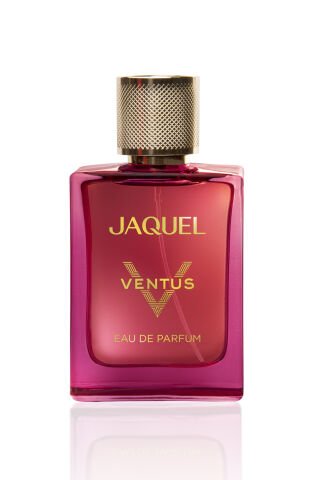 Jaquel Ventus Erkek Parfümü 100ml