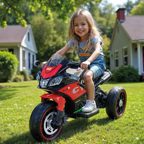 Dolu 8187 Cycle 12V 3 Teker Akülü Motor