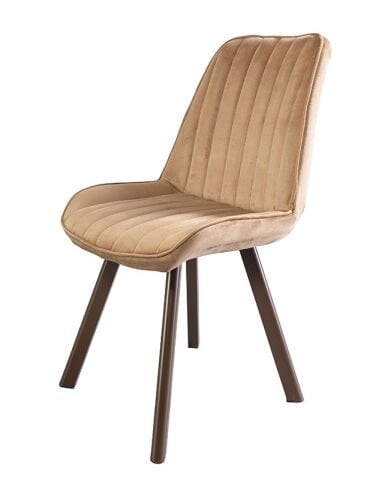 Always Star C410 Sandalye