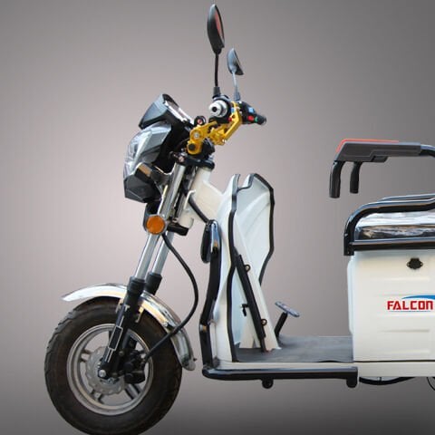 Falcon Family-8000 3 Teker Elektrikli Motor