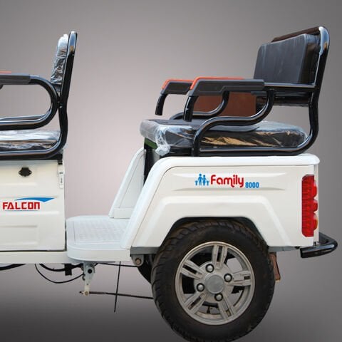 Falcon Family-8000 3 Teker Elektrikli Motor
