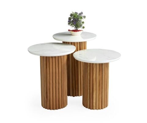 MANTAR ZİGON, BEYAZ