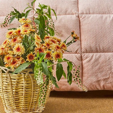 Apricitas Çift Kişilik Uyku Seti Blossom Softly