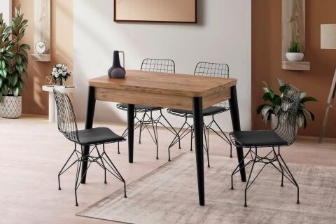 TURNA MASA, TEL SANDALYE, 100x60