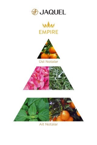 Jaquel Empire Erkek Parfümü 100ml